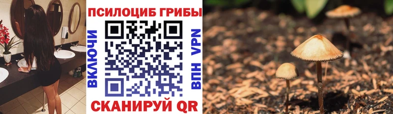 что такое   гидра   Псилоцибиновые грибы прущие грибы  Кущёвская 